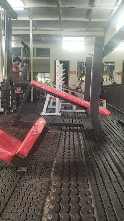 Academia Mega Muscle Gym