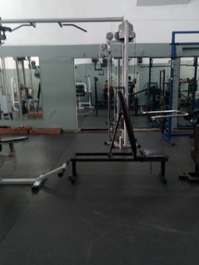 ForceFit