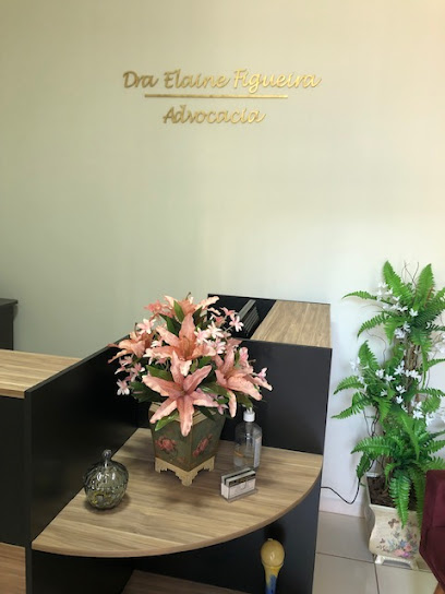 Dra. Elaine Figueira - Advogada